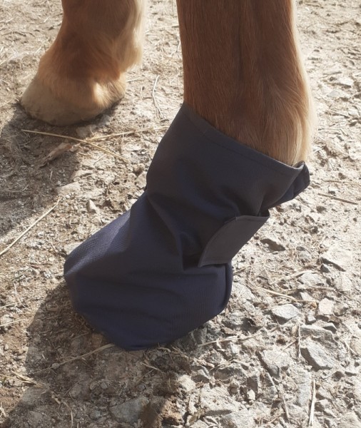 POULTICE BOOT